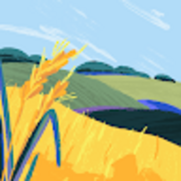 coral_reef07